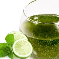 PreGel ForteFrutto Mojito 1 kg