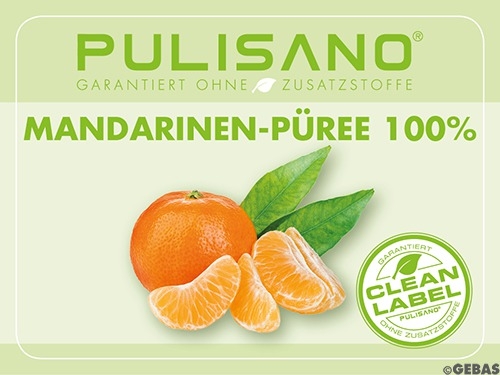Fruchtpüree Mandarine 100% BiB