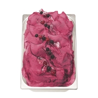 PreGel ForteFrutto Groseilles noires 1 kg