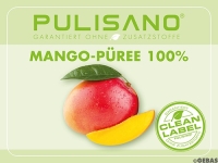 Puré de mango Alphonso 1 kg