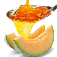PreGel Topping Melon 1 kg