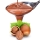 PreGel Topping Nocciola 1 kg