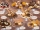 Chocolate ice cream cards 10 pcs/pack