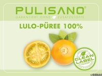 Puré de fruta Lulo 100%