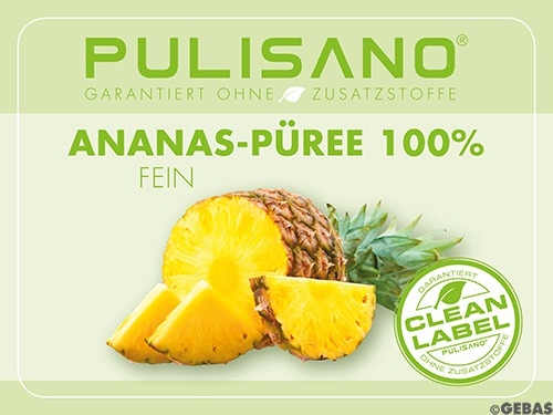 Vruchtenpuree ananas fijn BiB