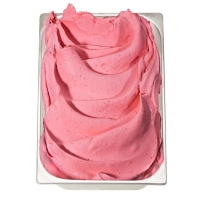 PreGel Base Frutta Milchfrei 1 kg