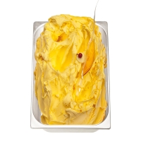 PreGel ForteFrutto Mangue 1 kg