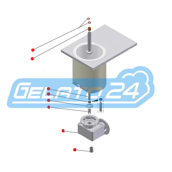 Pièce détachée TELME PROFIGEL 600 SET GETRIEBETAUSCH